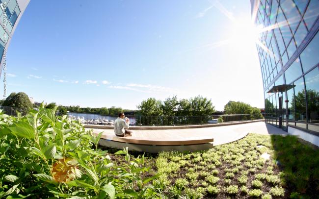 Man sitting on a bench on a roof garden and enjoying the view